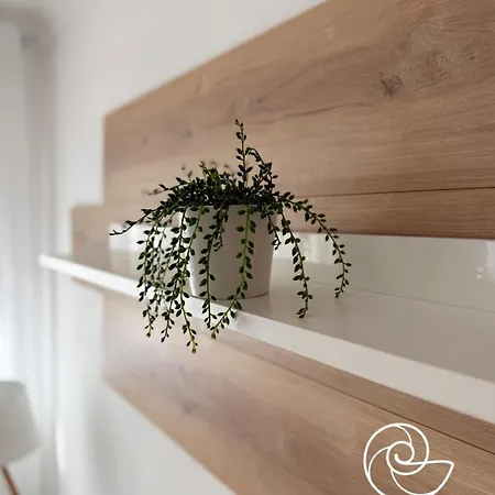 Maria * باتاياس